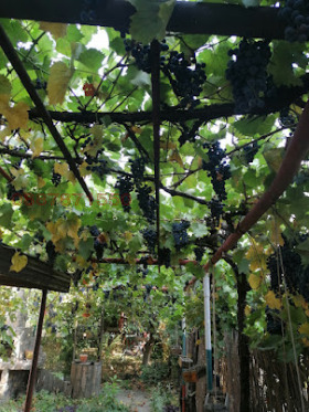 ������� ���� | Imot.bg � ����� ������ 10