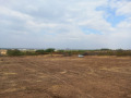 Продава ПАРЦЕЛ, област Пловдив, с. Марково • 43000 € • 35746308 — Holmes.bg