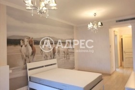 3+ bedroom Boyana, Sofia 1