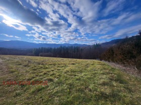 Parcelle Apriltsi, région Lovetch 3