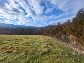 Parcelle Apriltsi, région Lovetch 1