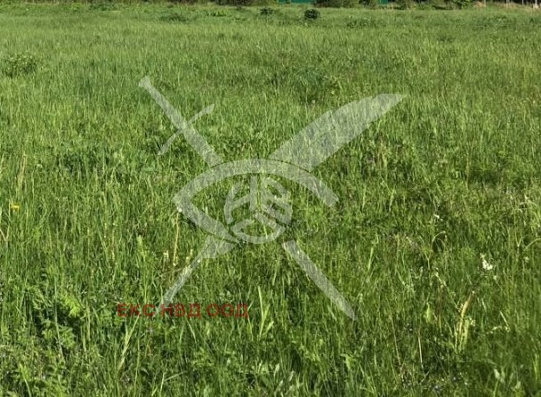 Продаја  Плот регион Пловдив , Стрјама , 2750 м2 | 98828027