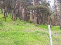 Продава ПАРЦЕЛ, област София, с. Бели Искър • 165000 € • 14192714 — Holmes.bg