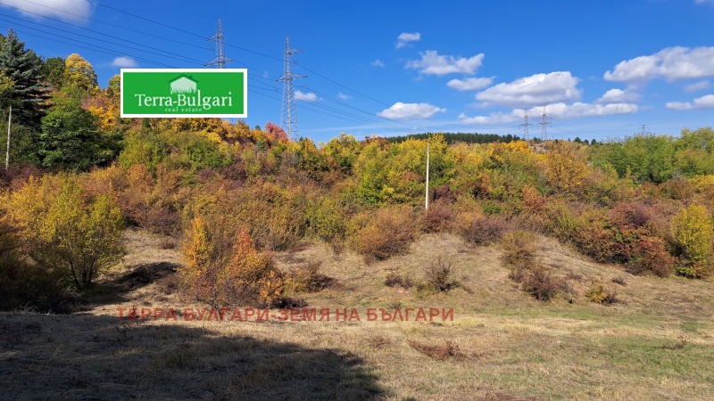 Продава ЗЕМЕДЕЛСКА ЗЕМЯ в област Перник, гр. Перник - 3 дка / 16 361.34 € » 32 000 лв., ТЕРРА БУЛГАРИ-ЗЕМЯ НА БЪЛГАРИ