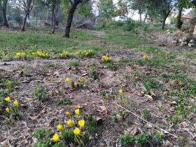 Плот Червена вода, регион Русе 1