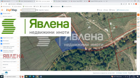 ����� ������� ������,���� �����, ���������