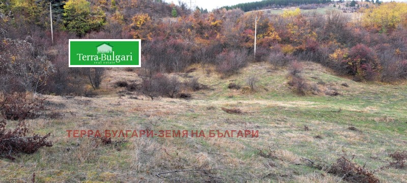 Продава ЗЕМЕДЕЛСКА ЗЕМЯ, гр. Перник, област Перник, снимка 13 - Земеделска земя - 52101476