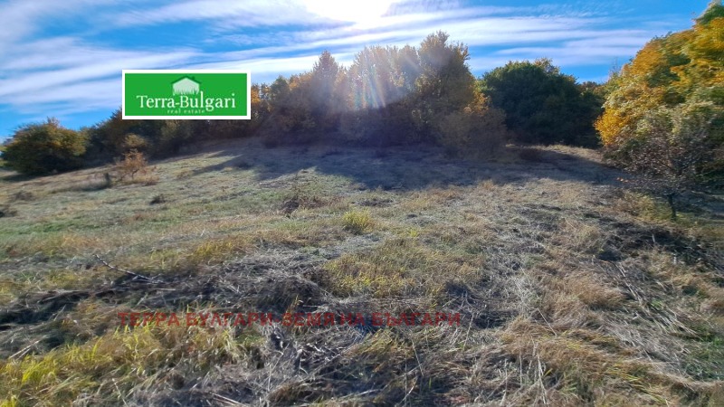 Προς πώληση  Γη περιοχή Πέρνικ , Περνηκ , 3 dka | 82500833 - εικόνα [4]
