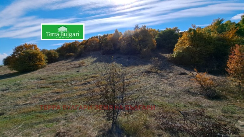 Προς πώληση  Γη περιοχή Πέρνικ , Περνηκ , 3 dka | 82500833 - εικόνα [2]