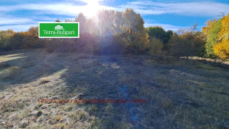 Προς πώληση  Γη περιοχή Πέρνικ , Περνηκ , 3 dka | 82500833 - εικόνα [7]