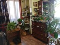 Продава КЪЩА, гр. Черноморец, област Бургас, снимка 10