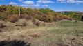 Продава ЗЕМЕДЕЛСКА ЗЕМЯ, гр. Перник, област Перник, снимка 9