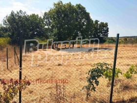 ������� ������ | Imot.bg � ����� ������ 7