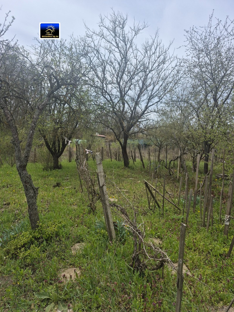 À venda  Trama Dobritch , m-t Gazibaba , 500 m² | 91945233 - imagem [2]