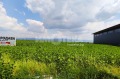 Продава  Парцел област София , с. Пролеша , 9003 кв.м | 79699257 - изображение [6]