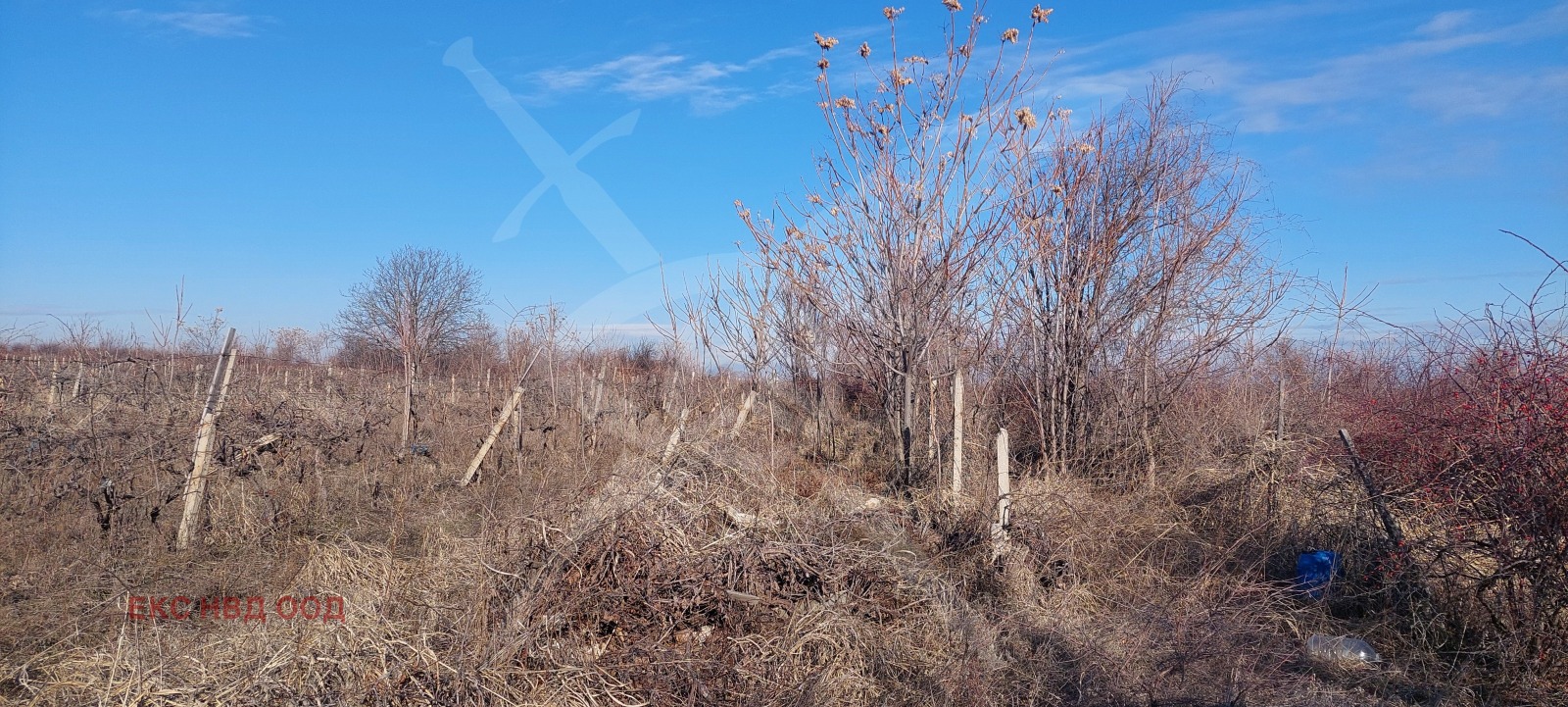 ������� ������ | Imot.bg � ����������� 1