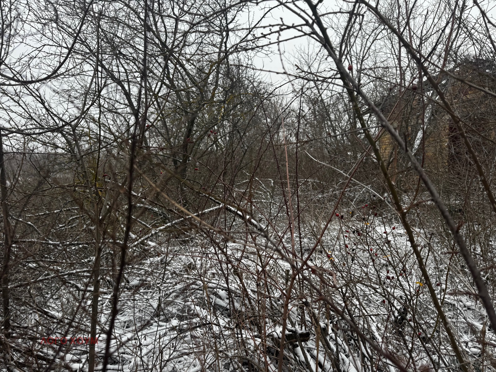 ������� ������ | Imot.bg � ����������� 1