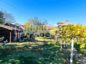 ����� ������� ����,�. �����, ������ ������