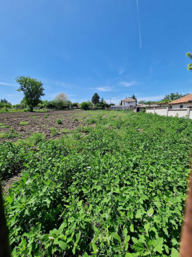 Handlung Kozlodujzi, region Dobritsch 2