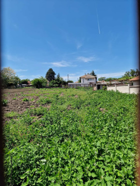 Juoni Kozlodujtsi, Dobrichin alue 3