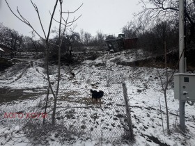 ������� ������ | Imot.bg � ����� ������ 3