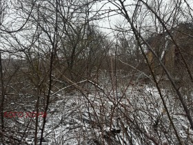 ������ ������� ������