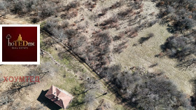 ����� ������� ������,�. ������, ������ �����