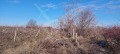 Продава ПАРЦЕЛ, област Пловдив, с. Брестник • 132000 € • 11180020 — Holmes.bg