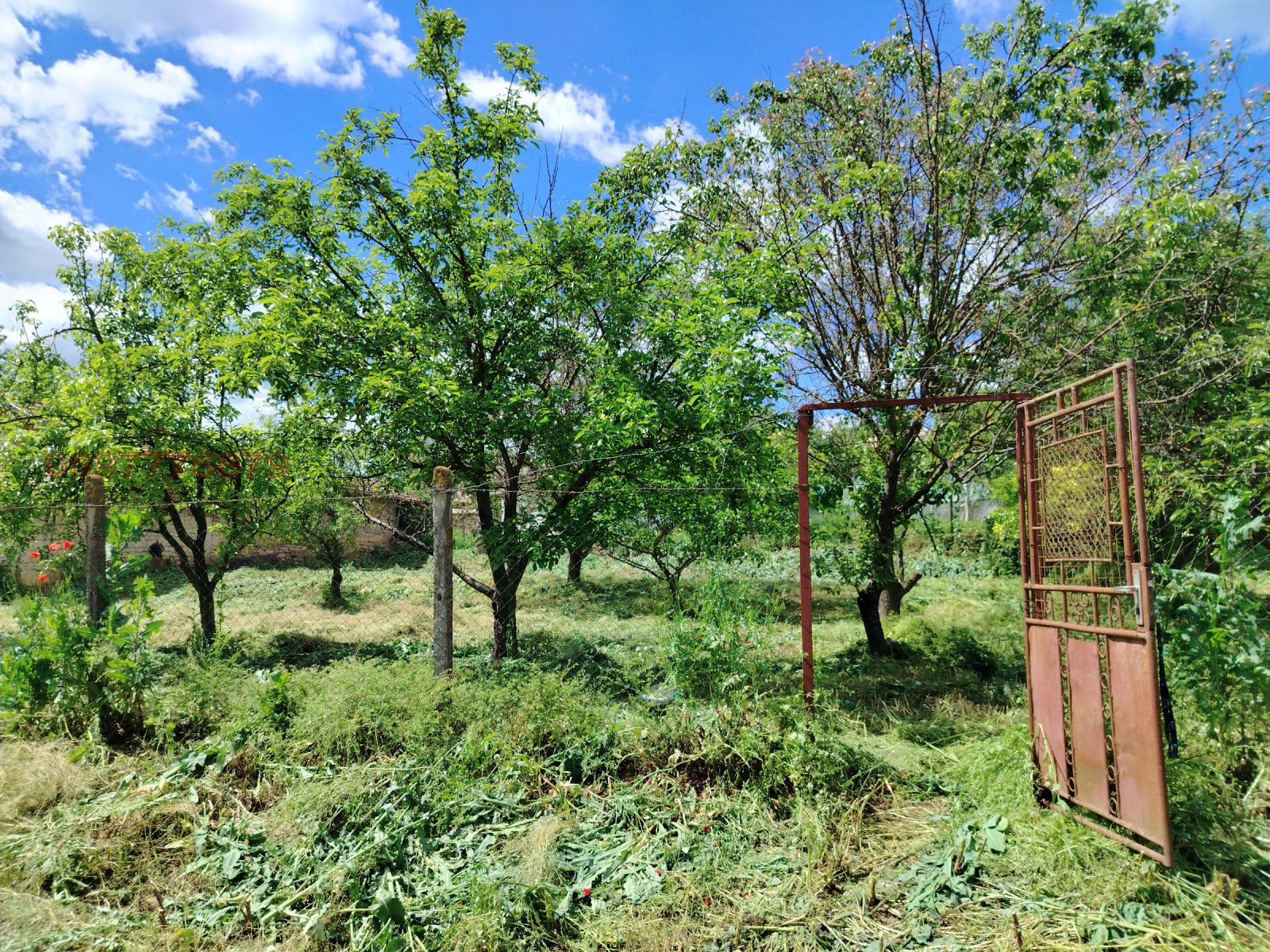������� ������ | Imot.bg � ����������� 1