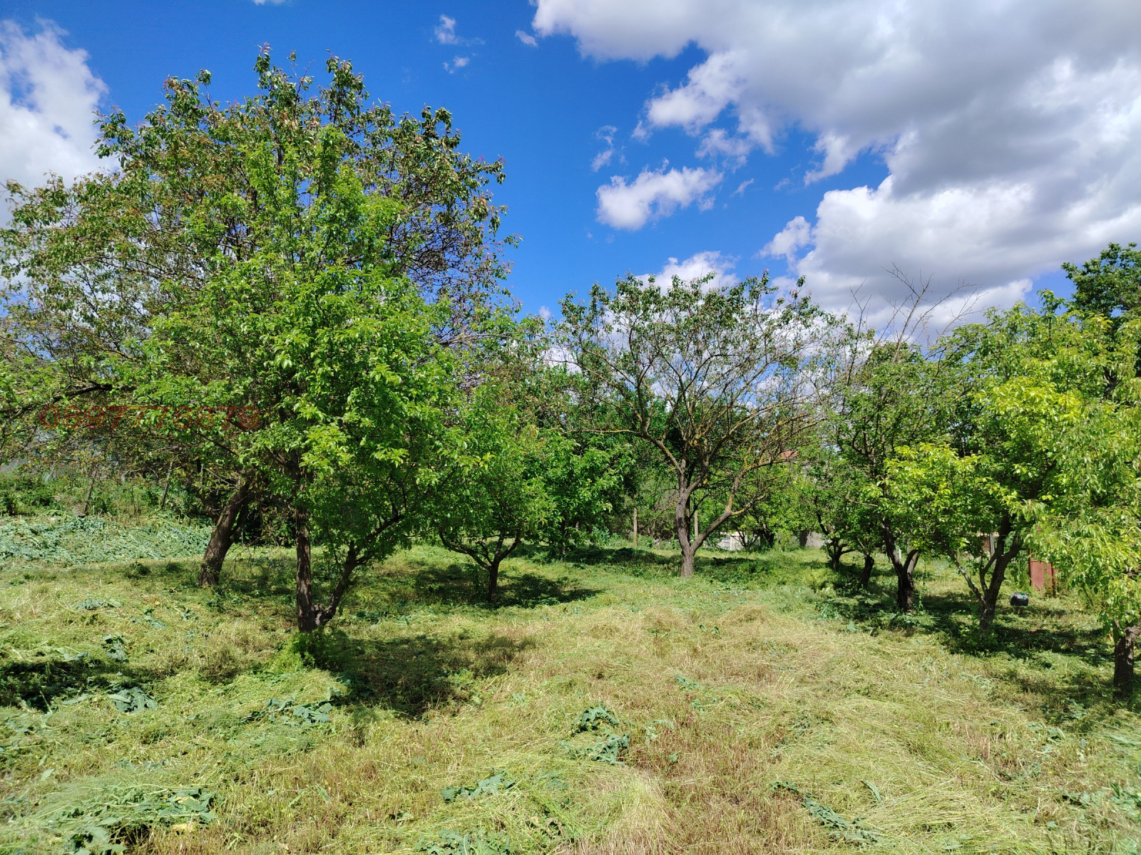 ������� ������ | Imot.bg � ����������� 4