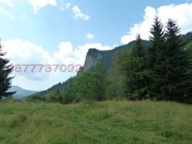 ����� ������� ����,���� ������, �.�. ������