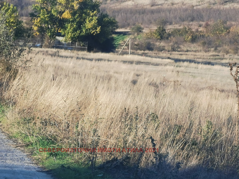 Продава ЗЕМЕДЕЛСКА ЗЕМЯ, гр. Игнатиево, област Варна, снимка 7 - Земеделска земя - 52605946