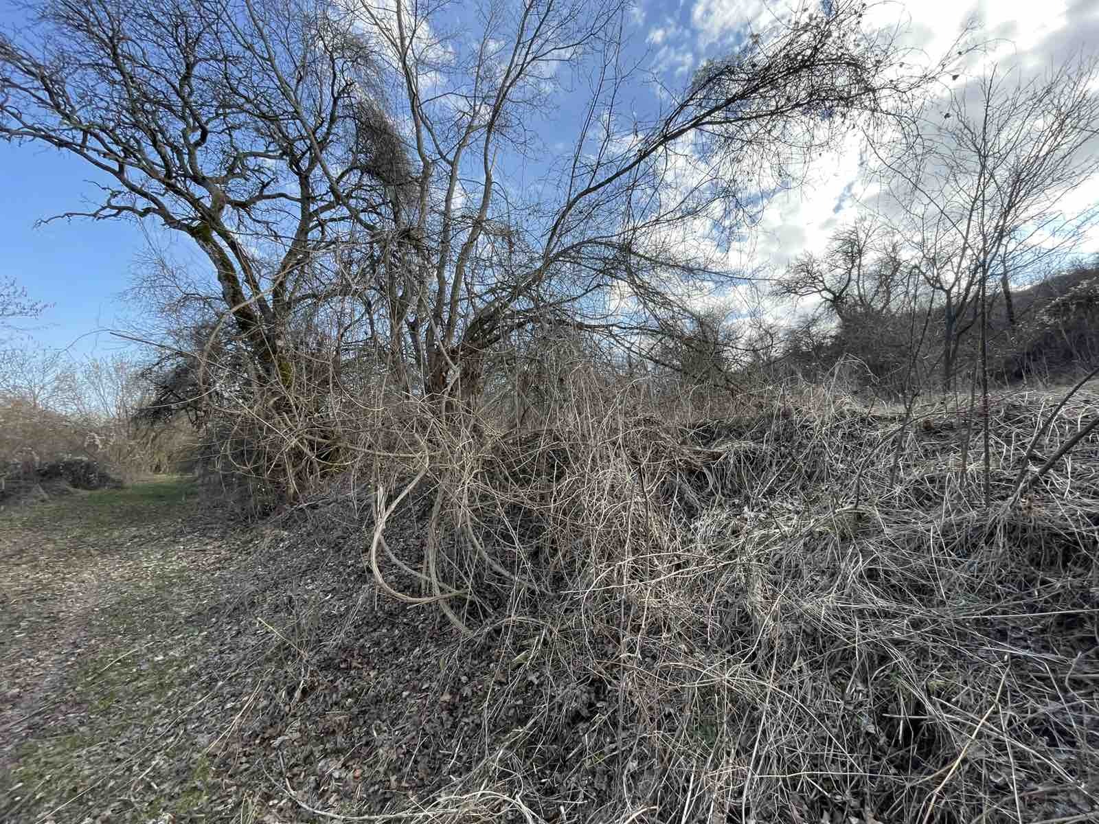 ������� ������ | Imot.bg � ����������� 2