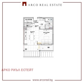 ����� ������� �������,���� �����, �������