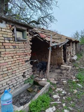 ������� ���� | Imot.bg � ����� ������ 5
