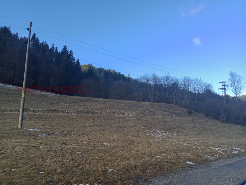 Продава ЗЕМЕДЕЛСКА ЗЕМЯ, гр. Рудозем, област Смолян, снимка 2 - Земеделска земя - 52769986