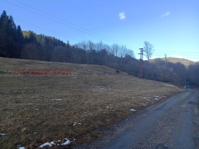 Продава ЗЕМЕДЕЛСКА ЗЕМЯ, гр. Рудозем, област Смолян, снимка 6 - Земеделска земя - 52769986