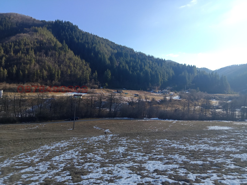 Продава ЗЕМЕДЕЛСКА ЗЕМЯ, гр. Рудозем, област Смолян, снимка 5 - Земеделска земя - 52769986