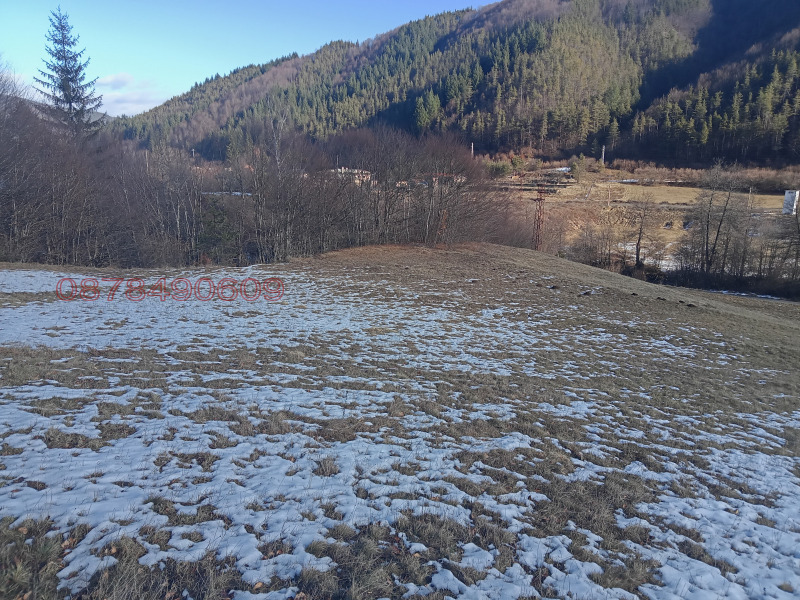 Продава ЗЕМЕДЕЛСКА ЗЕМЯ, гр. Рудозем, област Смолян, снимка 4 - Земеделска земя - 52769986