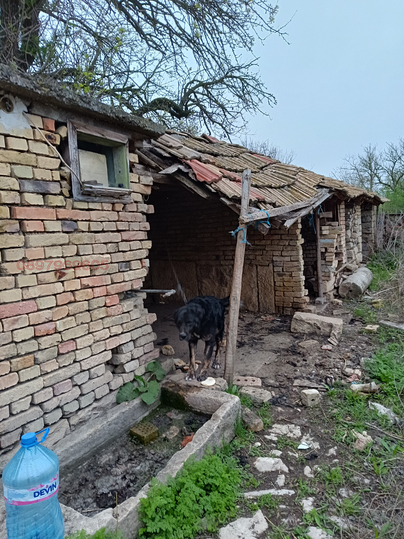 Продава КЪЩА, с. Неофит Рилски, област Варна, снимка 5 - Къщи - 54898642