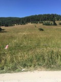 Продава ПАРЦЕЛ, яз. Батак, област Пазарджик, снимка 1