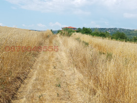������� ������ | Imot.bg � ����� ������ 13