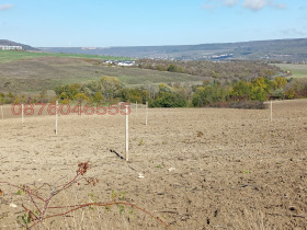 ������� ������ | Imot.bg � ����� ������ 6