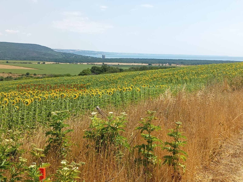 Zu verkaufen  Handlung region Varna , General Kantardschiewo , 659 qm | 36721958 - Bild [6]