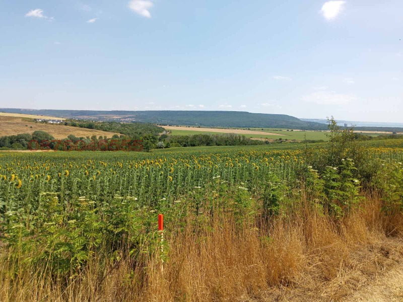 Zu verkaufen  Handlung region Varna , General Kantardschiewo , 659 qm | 36721958 - Bild [4]