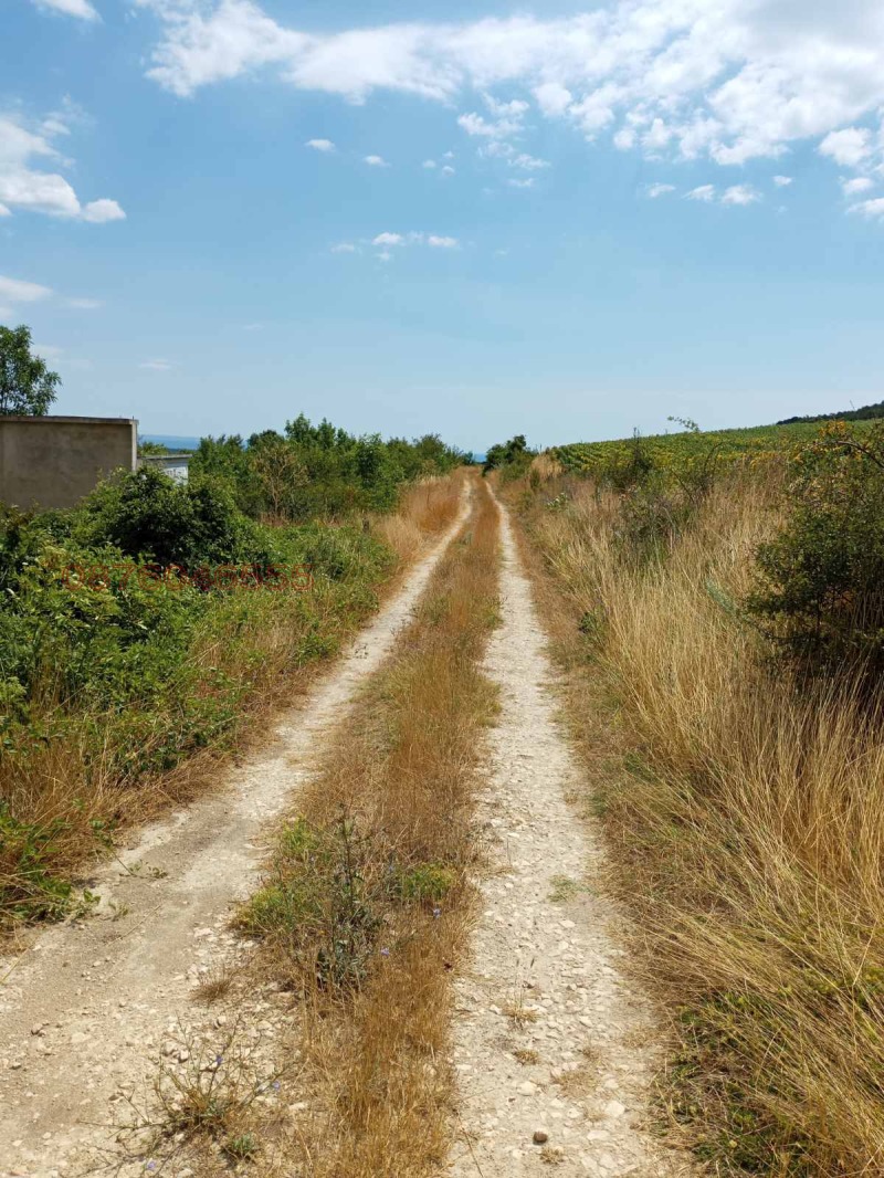 Zu verkaufen  Handlung region Varna , General Kantardschiewo , 659 qm | 36721958 - Bild [2]