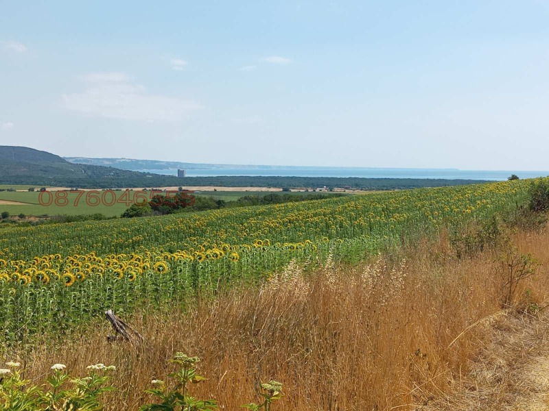 Zu verkaufen  Handlung region Varna , General Kantardschiewo , 659 qm | 36721958 - Bild [7]
