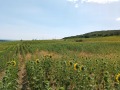 Продава ПАРЦЕЛ, област Варна, с. Генерал Кантарджиево • 15000 € • 49715359 — Holmes.bg