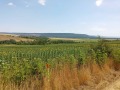 Продава ПАРЦЕЛ, област Варна, с. Генерал Кантарджиево • 15000 € • 49715359 — Holmes.bg