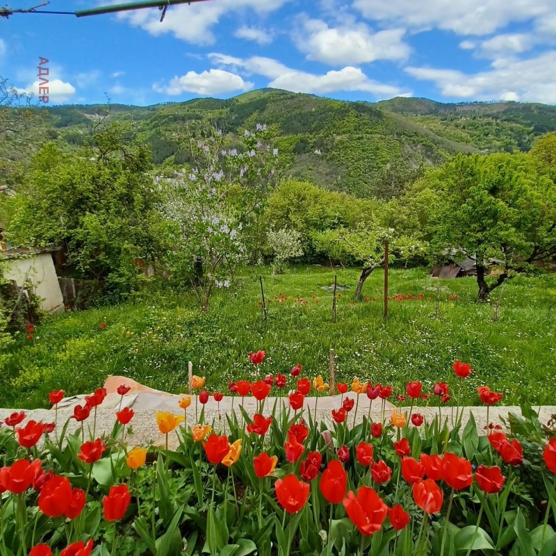 For Sale  House region Sofia , Svoge , 156 sq.m | 68096010 - image [5]